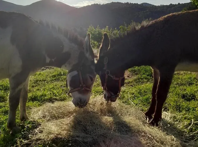 Volver Alojamento de Acomodação e Pequeno-almoço 4*