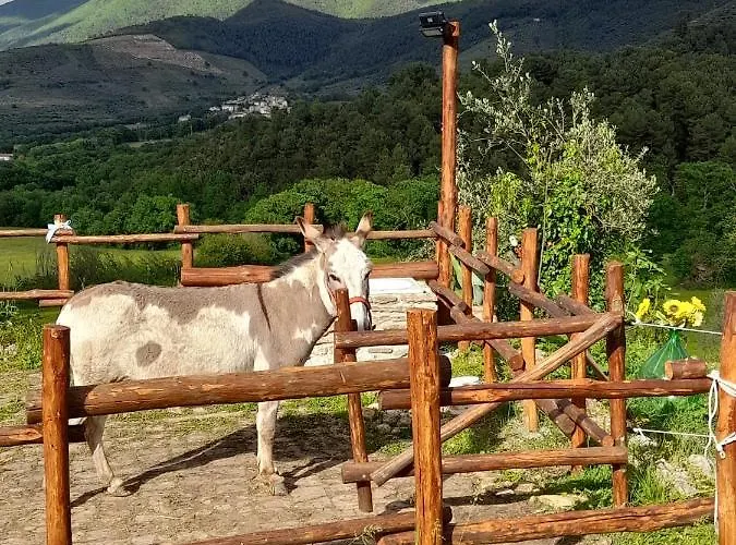 Alojamento de Acomodação e Pequeno-almoço Volver 4*