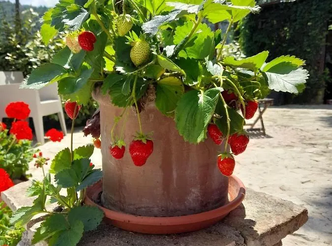 Volver Alojamento de Acomodação e Pequeno-almoço