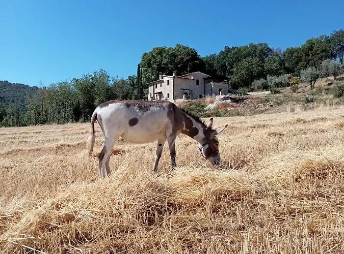 Alojamento de Acomodação e Pequeno-almoço Volver